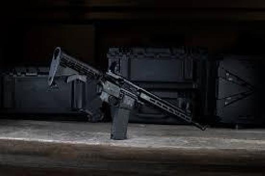 RIFLE SMITH&WESSON M&P 15-22 .22LR