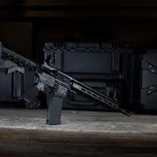 RIFLE SMITH&WESSON M&P 15-22 .22LR