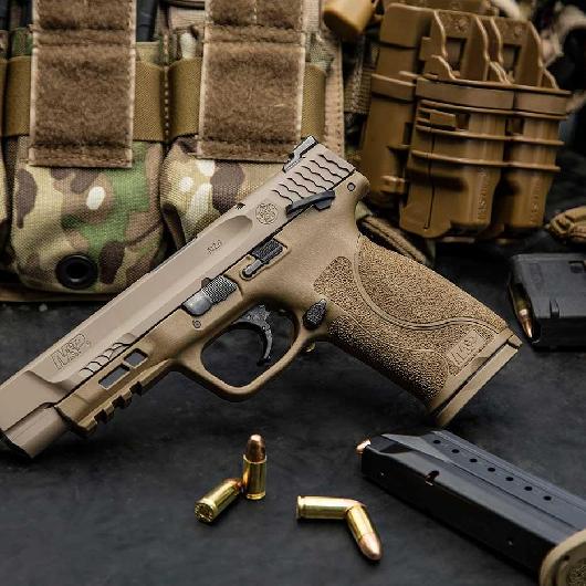  Smith & Wesson M&P9 M2.0 THUMB SAFETY FDE