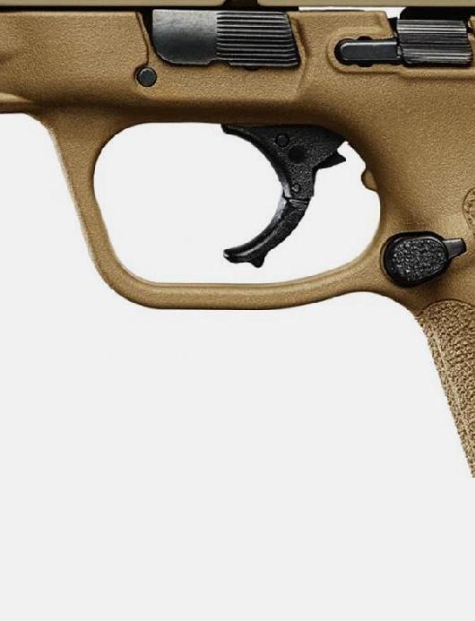  Smith & Wesson M&P9 M2.0 THUMB SAFETY FDE