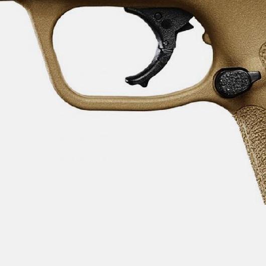  Smith & Wesson M&P9 M2.0 THUMB SAFETY FDE